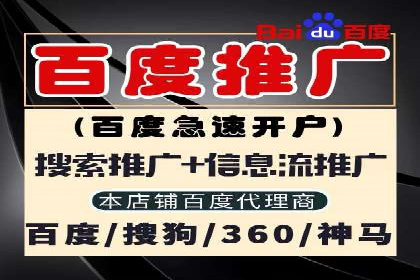 搜索引擎优化（SEO）在百度上的应用案例研究